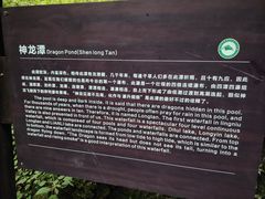 -牛背梁国家森林公园