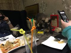 -吱咖啡西式简餐
