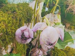 -上海植物园-4号门售票处