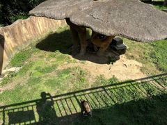 -宁波野生动物园