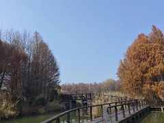 -苏州太湖国家湿地公园