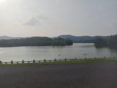 -佛手湖郊野公园