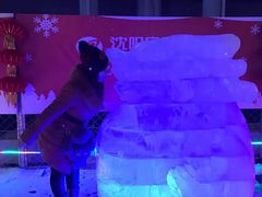 -沈阳奥体冰雪嘉年华