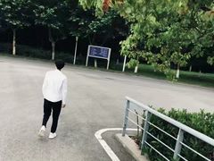 -南京奥林匹克体育中心-体育馆