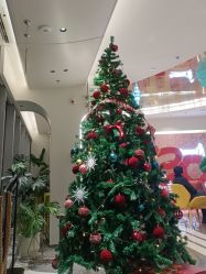 -安利上海体验馆