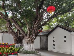 -长洲岛