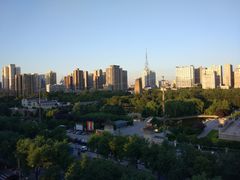 -真爱中国餐馆·年华店(朱雀大街店)