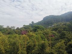 -水濂山森林公园