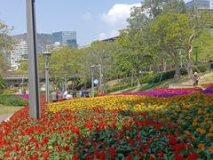 -白石龙音乐公园