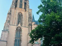 -Restaurant Paulaner am Dom