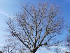 -盘龙城国家考古遗址公园