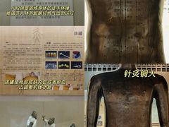 -广东中医药博物馆