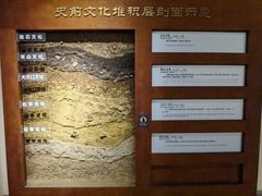 -临沂市博物馆
