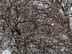 -南通博物苑-崇川人民公园