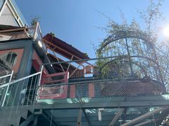 -喵屿·大理花园猫咖