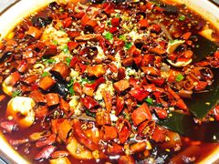 毛血旺-雲蜀龙阁·金牌水煮鱼(方庄店)