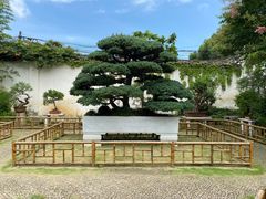 -山塘街