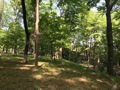 -井之头恩赐公园