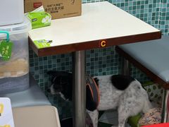 -華歡冰室-WahFoon(吉大店)
