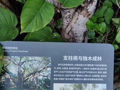 -北京植物园-展览温室