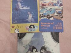 -大连圣亚海洋世界