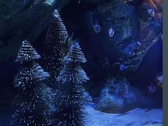 -海合安成都极地海洋公园