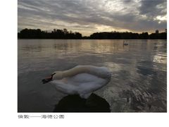 -海德公园
