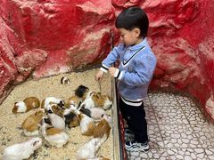 -上海大自然野生昆虫馆(东方明珠·爬宠昆虫探索中心)