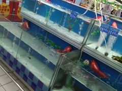 -大润发(张江店)