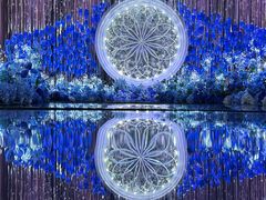 -同庆楼(花园店)