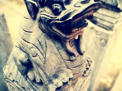 -绿地·中山里