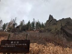 -峡谷浮石林景区