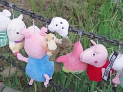 -成都中医药大学(温江校区)