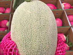 哈密瓜-朝阳菜场(白塔西路店)