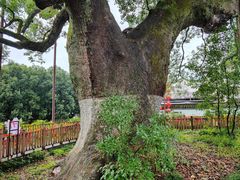 -新安江山水画廊风景区
