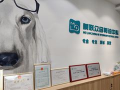 -美联众合动物医院·24h转诊中心