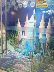 点击看大图 -同远QQBABY亲子摄影(北京路店)
