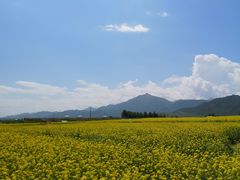 -扁都口生态休闲旅游区