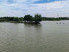 -宁波杭州湾国家湿地公园
