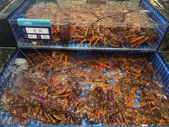 -东海怡品海鲜豆捞(舟宿夜江店)