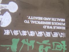 -探窝·竹笙椰子鸡(杨箕店)