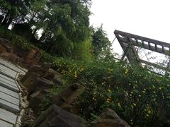 通向餐厅左右两边的小路-上海鲜花港