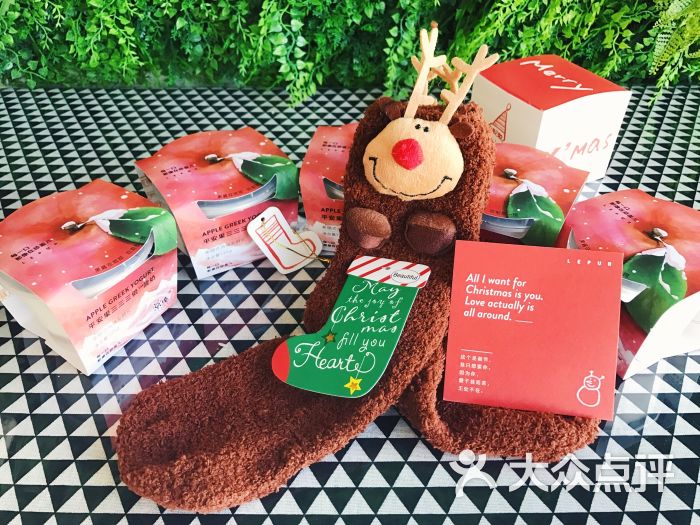 乐纯的伙伴们图片 - 第4张