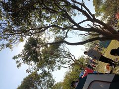 -长洲岛都市农业公园