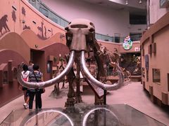 -陕西自然博物馆