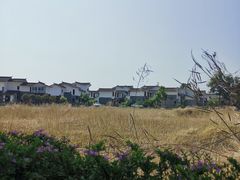 -桤木河湿地公园