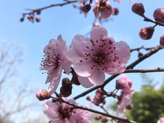 -白塘生态植物园