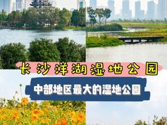 -洋湖国家湿地公园