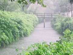 -古堰画乡景区