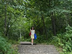 -五营红松林海景区